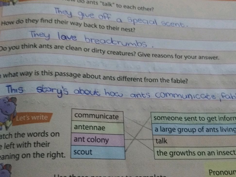 How do ants 