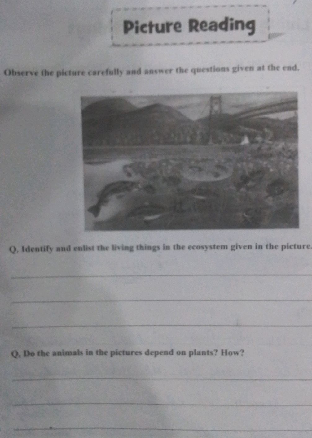Observe the picture carefully and answer the