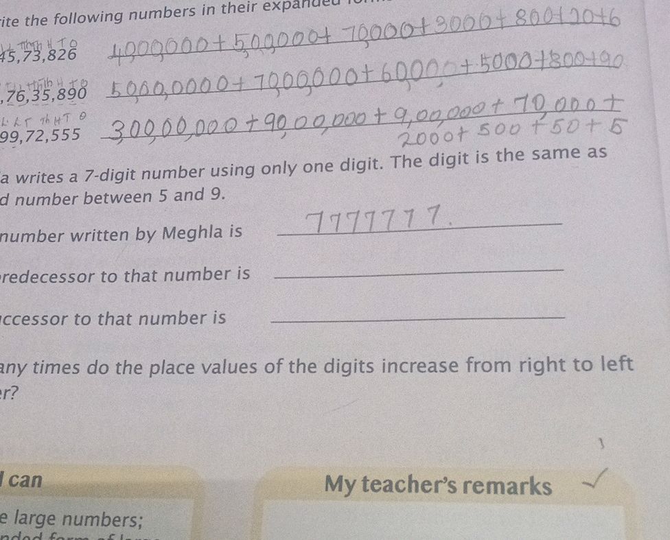 Meghla writes a 7-digit number using only