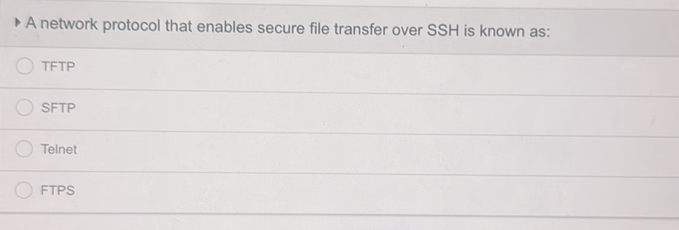 A network protocol that enables secure file | StudyX