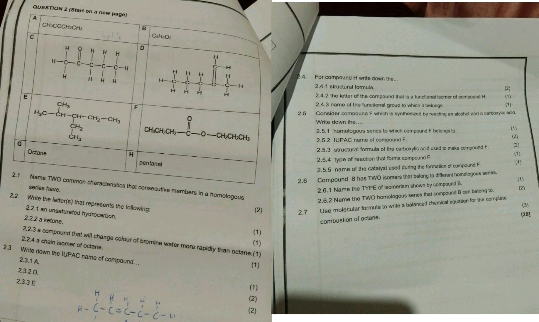 QUESTION 2 (Start on a new page) A | StudyX