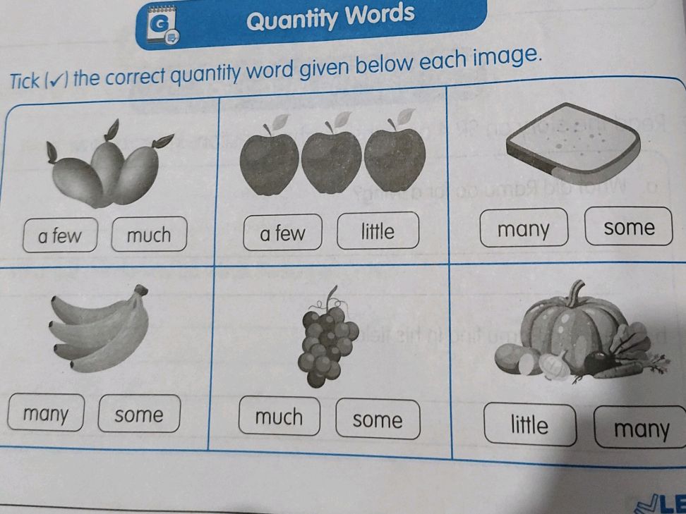 Tick ( ) the correct quantity word given | StudyX
