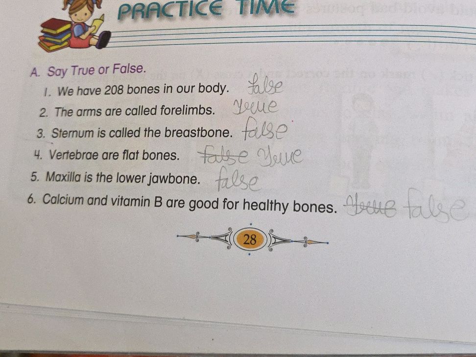 A. Say True or False. 1. We have 208 bones | StudyX