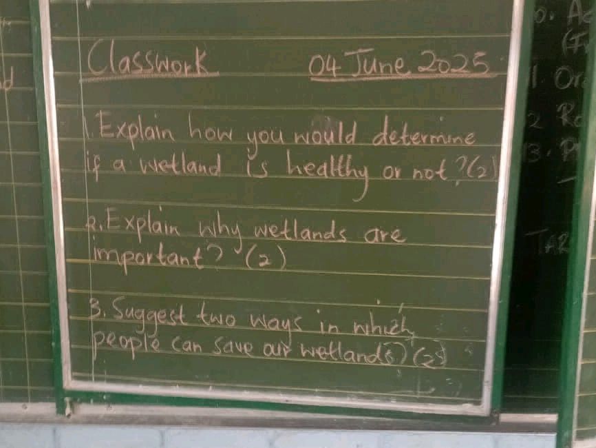 1. Explain how you would determine if a | StudyX