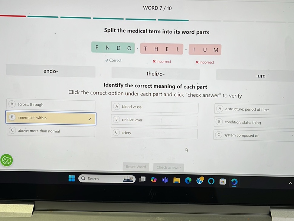 Split the medical term into its word parts: