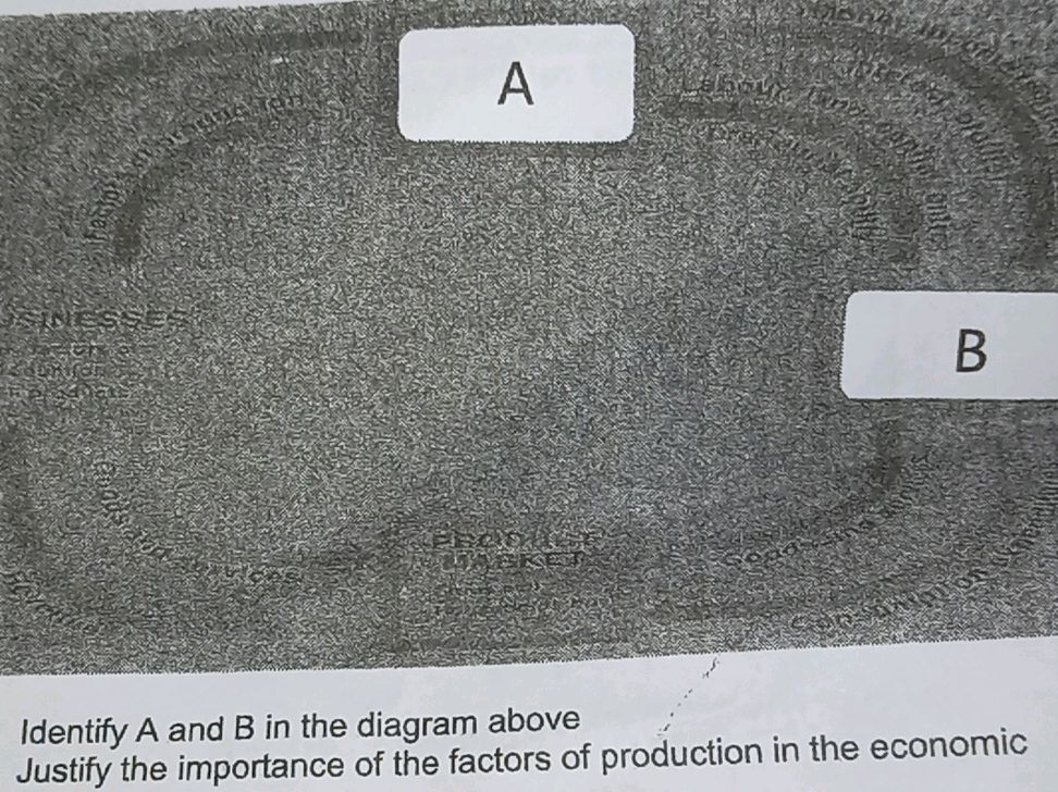 Identify A and B in the diagram above | StudyX