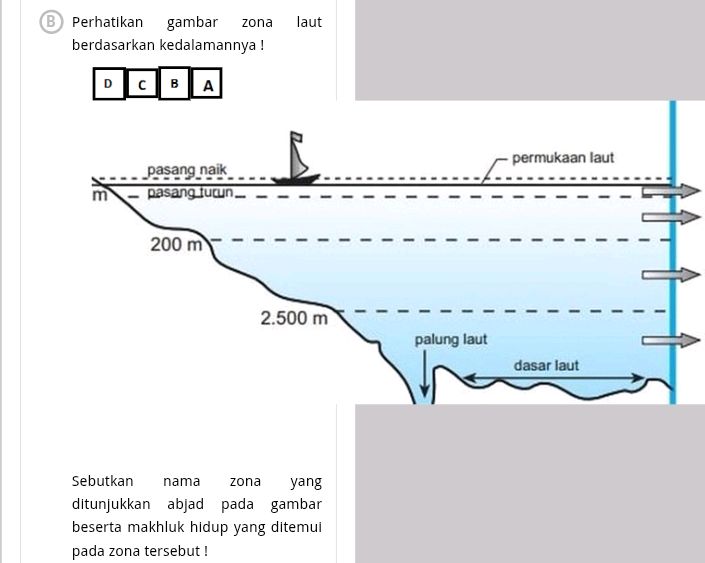 Perhatikan gambar zona laut berdasarkan | StudyX