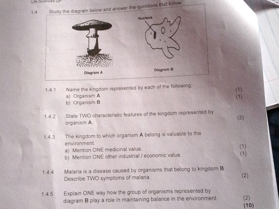 1.4 Study the diagram below and answer the | StudyX