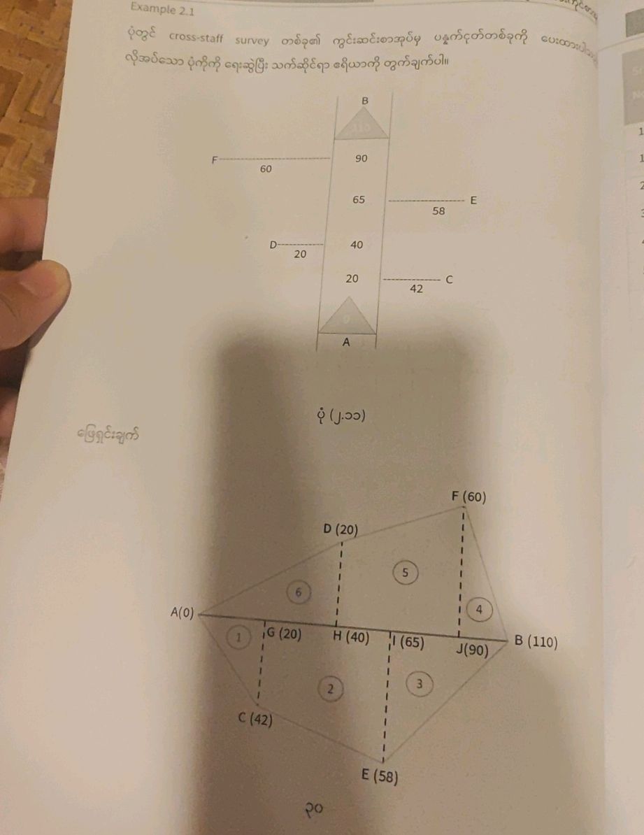 Example 2.1 ပုံတွင် cross-staff survey