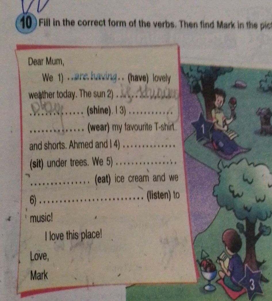 Fill in the correct form of the verbs. Then | StudyX