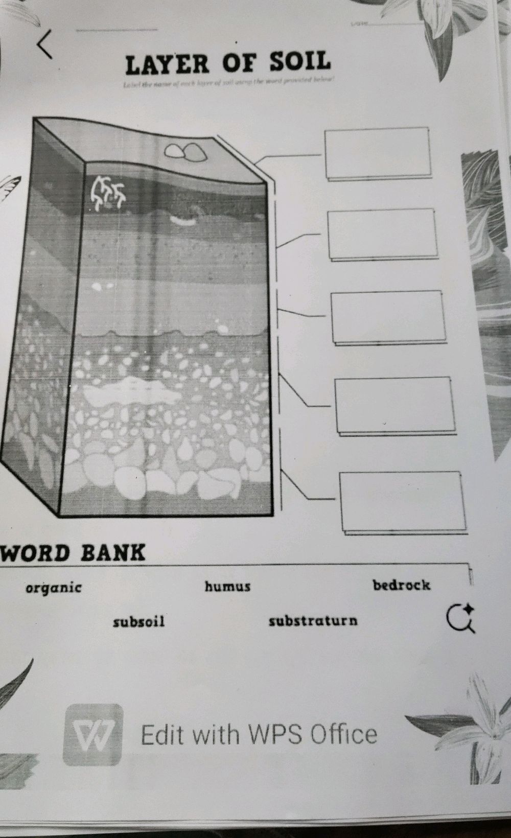 Soil Science Label LAYER OF SOIL Label the name of each layer | StudyX