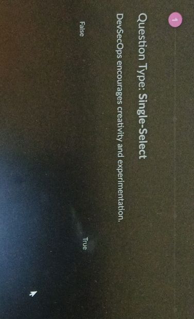 DevSecOps encourages creativity and | StudyX