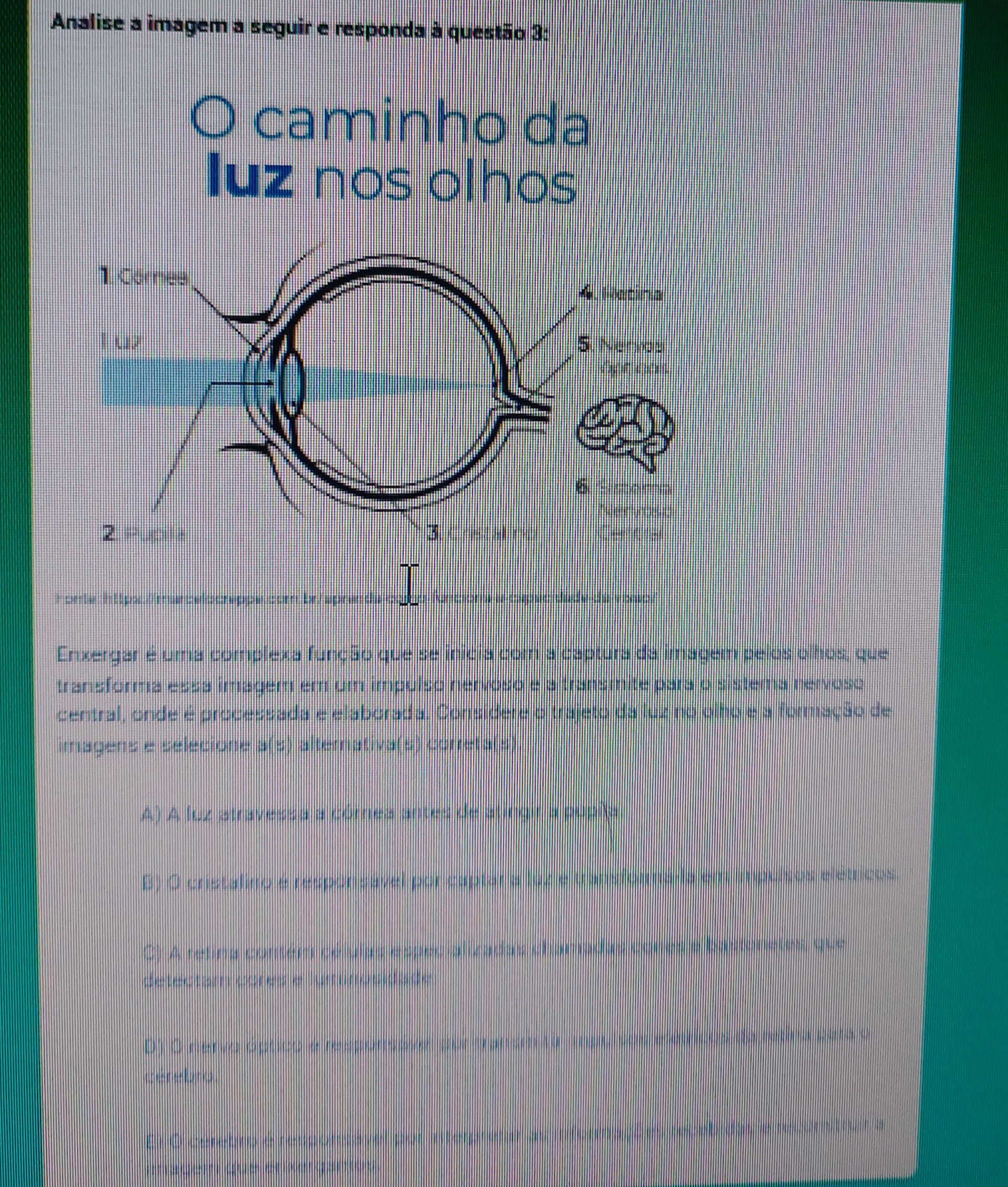 Analise a imagem a seguir e responda à | StudyX