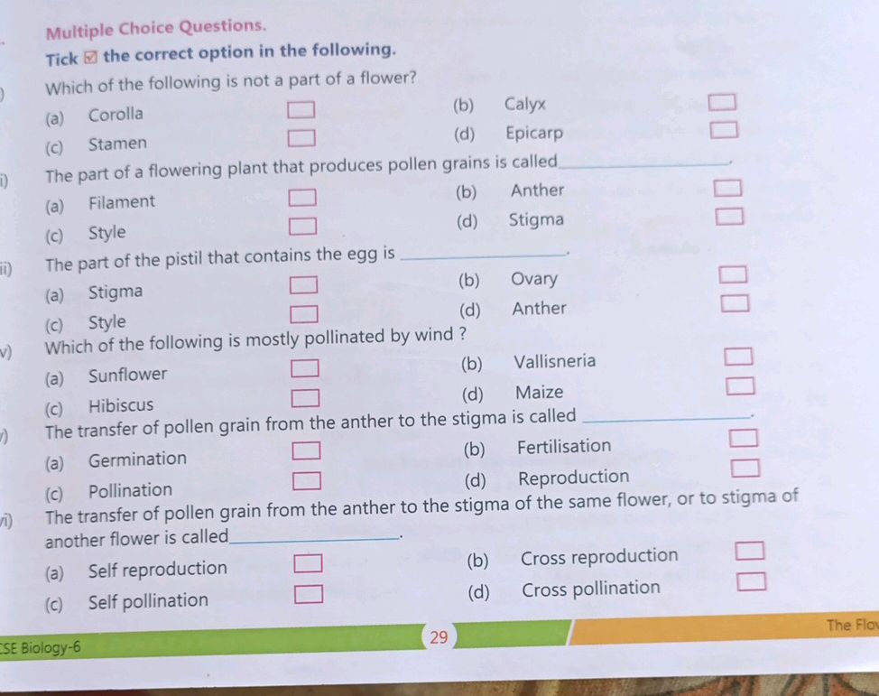 Multiple Choice Questions. Tick the correct | StudyX