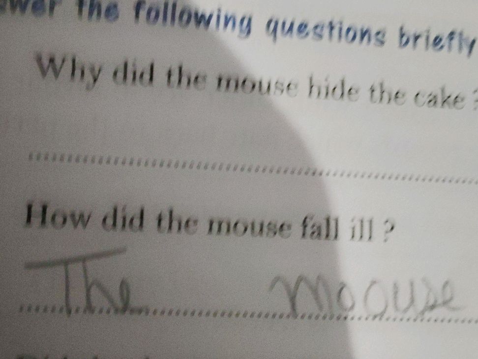 Why did the mouse hide the cake ? How did | StudyX