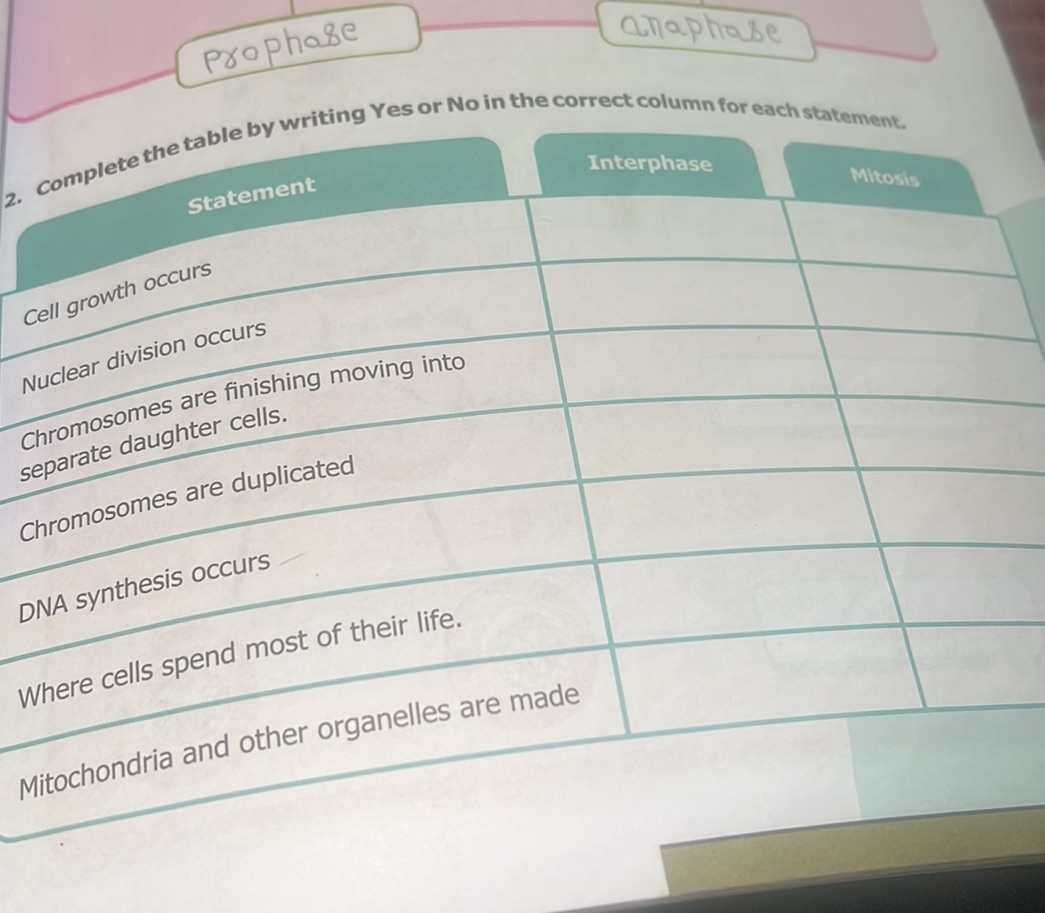 2. Complete the table by writing Yes or No | StudyX
