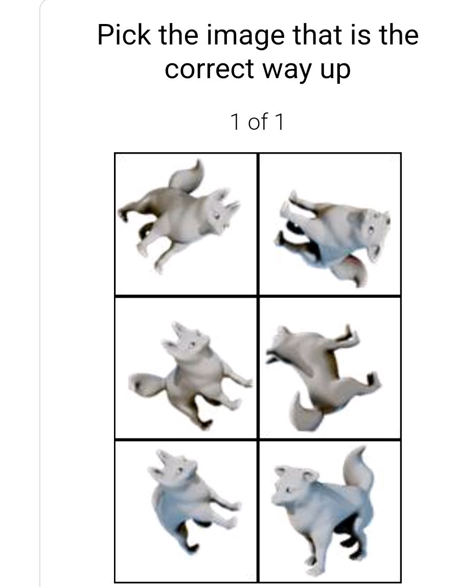 Pick the image that is the correct way up 1 | StudyX