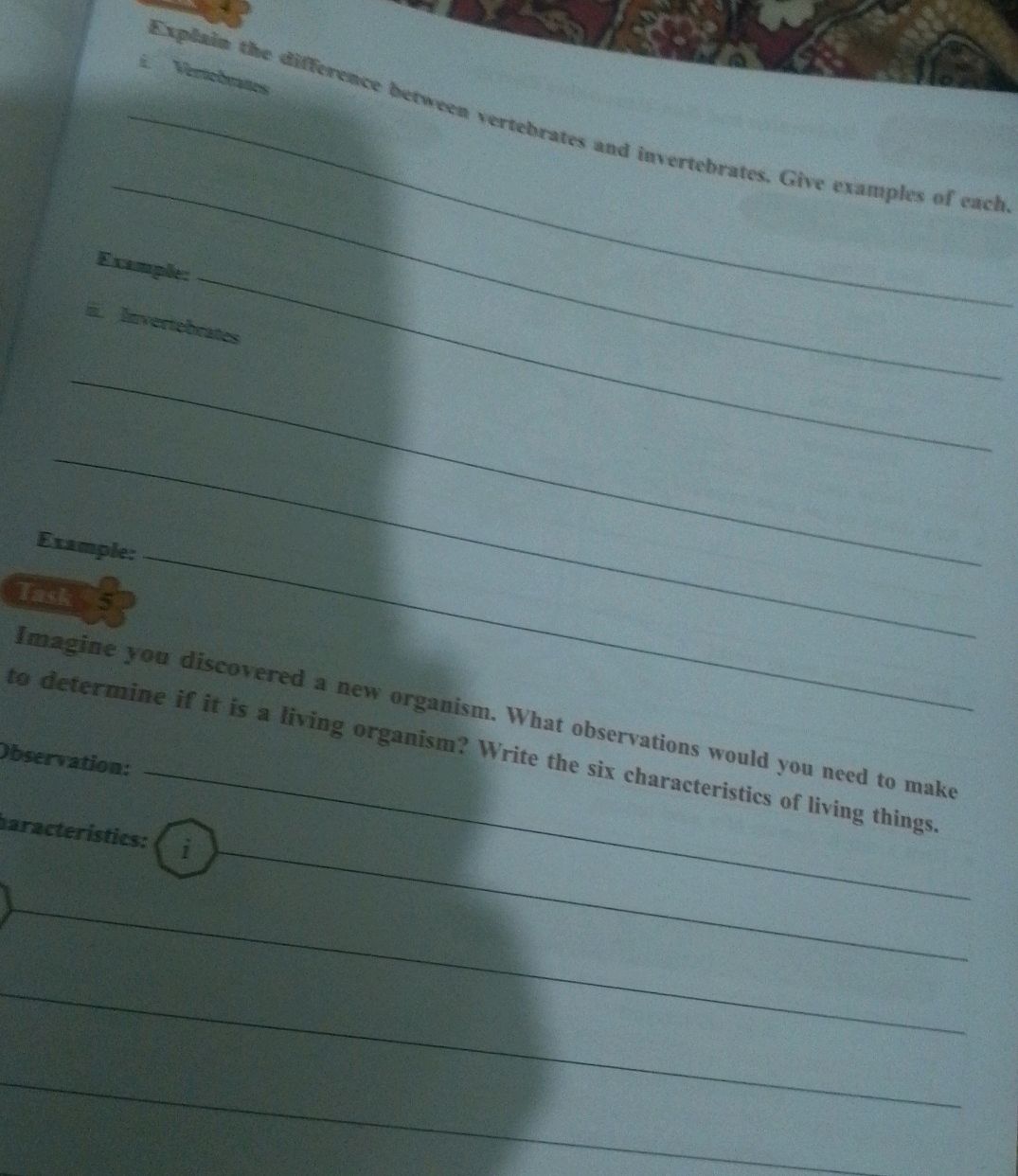 Explain the difference between vertebrates | StudyX