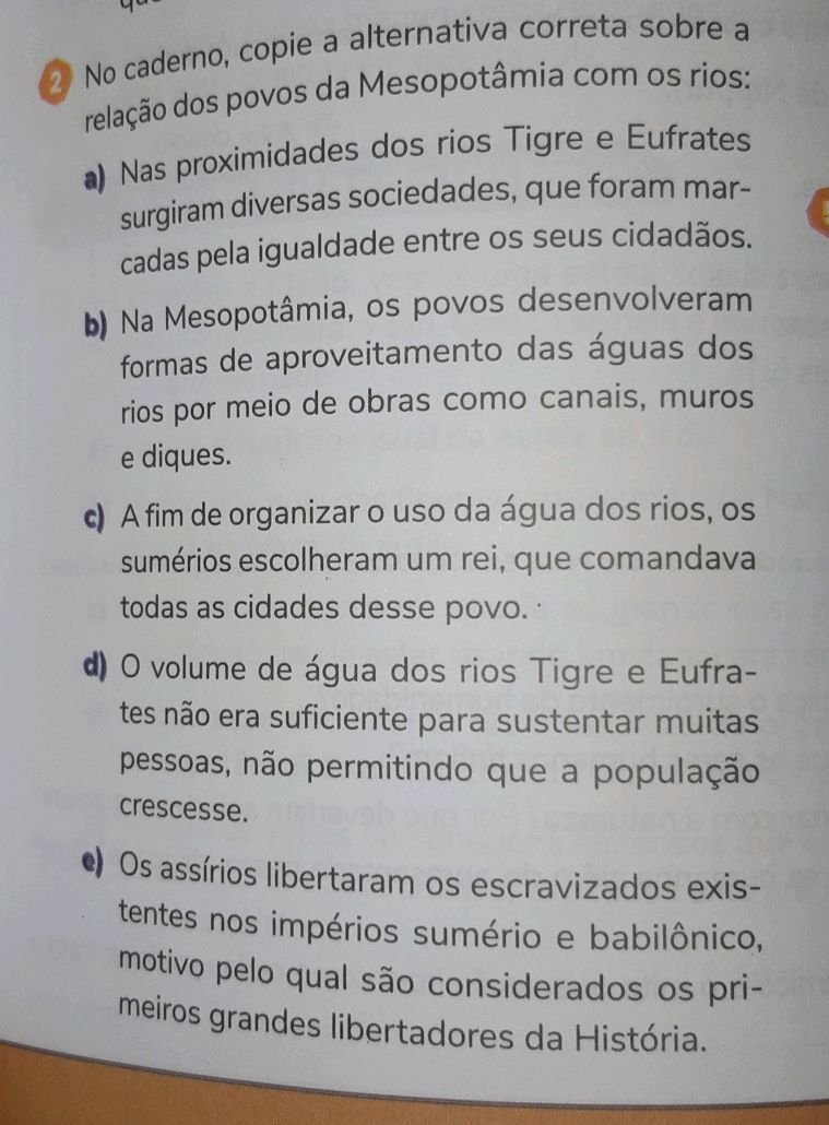No caderno, copie a alternativa correta