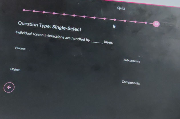 Question Type Single-Select Individual | StudyX