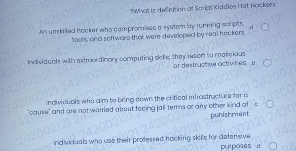 What is definition of Script Kiddies Hat | StudyX