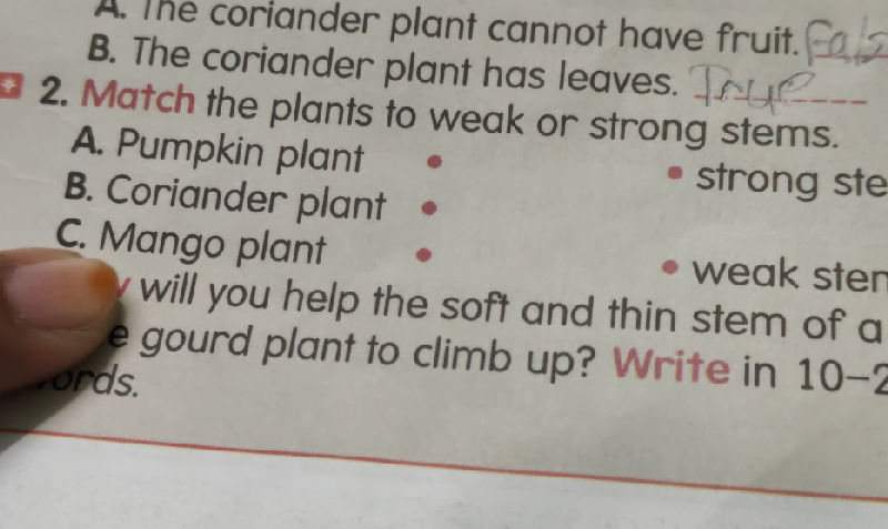 A The coriander plant cannot have fruit | StudyX