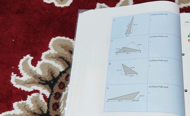 Calculate the area of the triangles below | StudyX