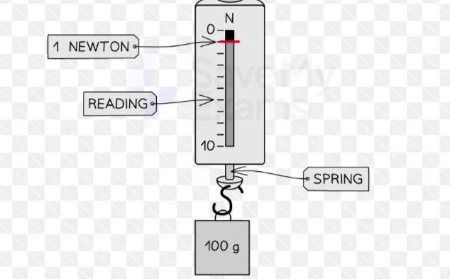 Spring Balance With Reading The image contains a diagram showing a | StudyX