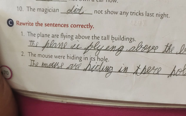 Rewrite the sentences correctly 1 The plane | StudyX