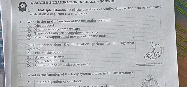 I Multiple Choice Read the questions | StudyX