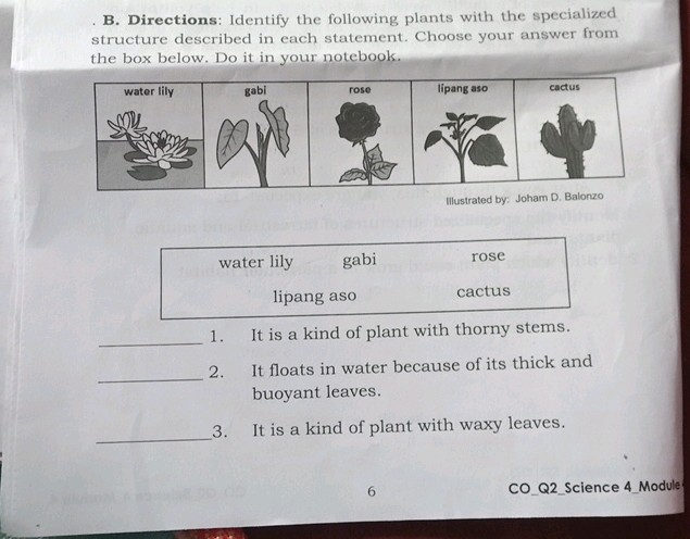 Plant Study Direction B Directions Identify the following plants | StudyX