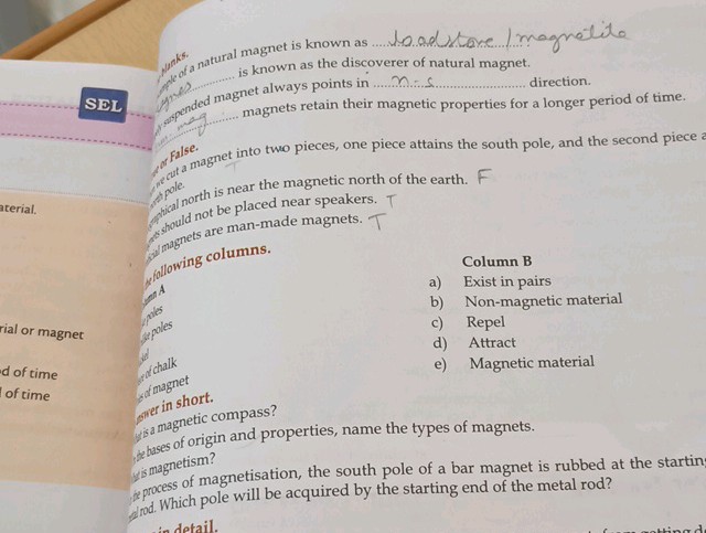 Blanks Example of a natural magnet is known | StudyX