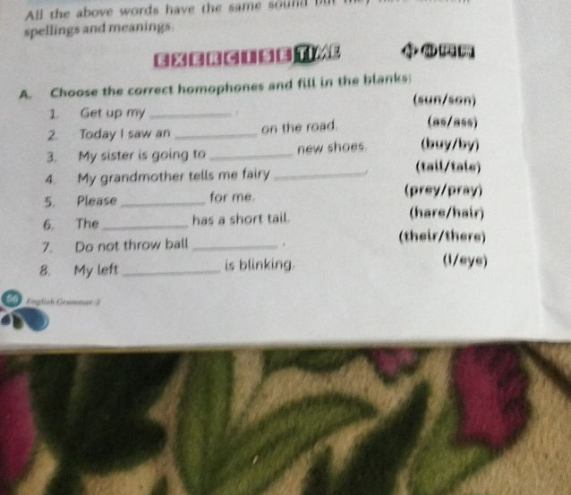 A Choose the correct homophones and fill in