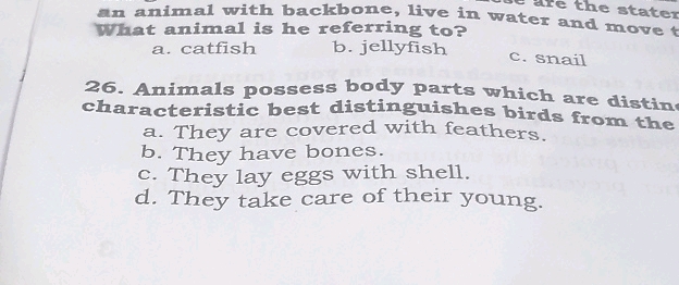 Shell Backbone Animal an animal with backbone live in water and