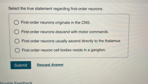 Select The True Statement Regarding First Order Neurons