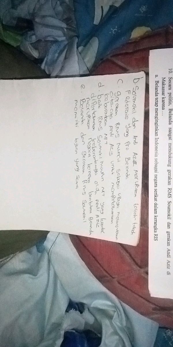 10 Secara politis Belanda sangat mendukung | StudyX