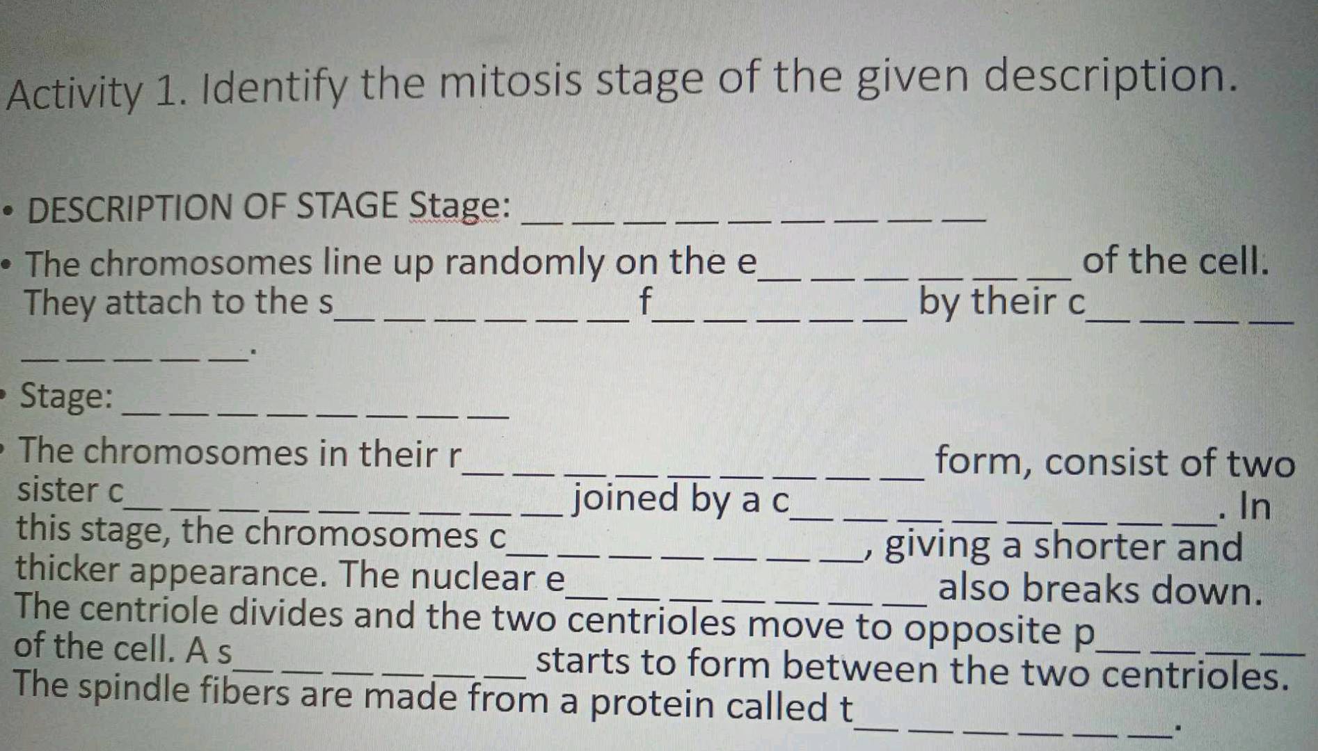 Activity 1 Identify the mitosis stage of the | StudyX
