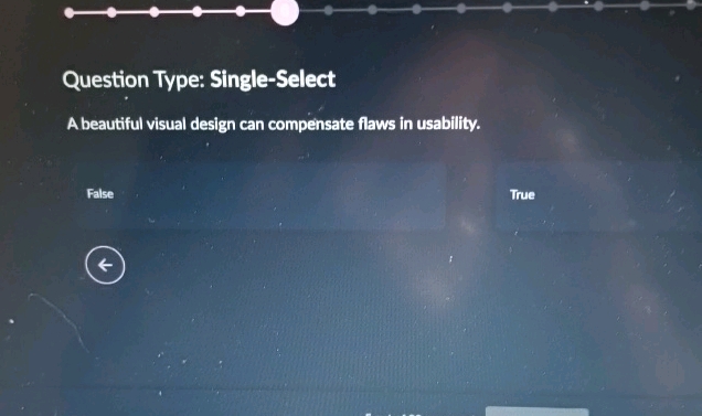 Question Type Single-Select A beautiful | StudyX