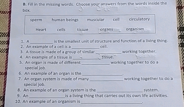B Fill in the missing words Choose your | StudyX