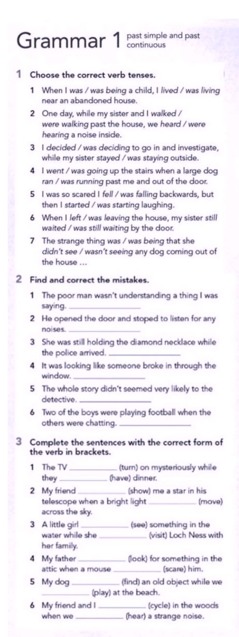 Grammar 1 past simple and past continuous 1 | StudyX