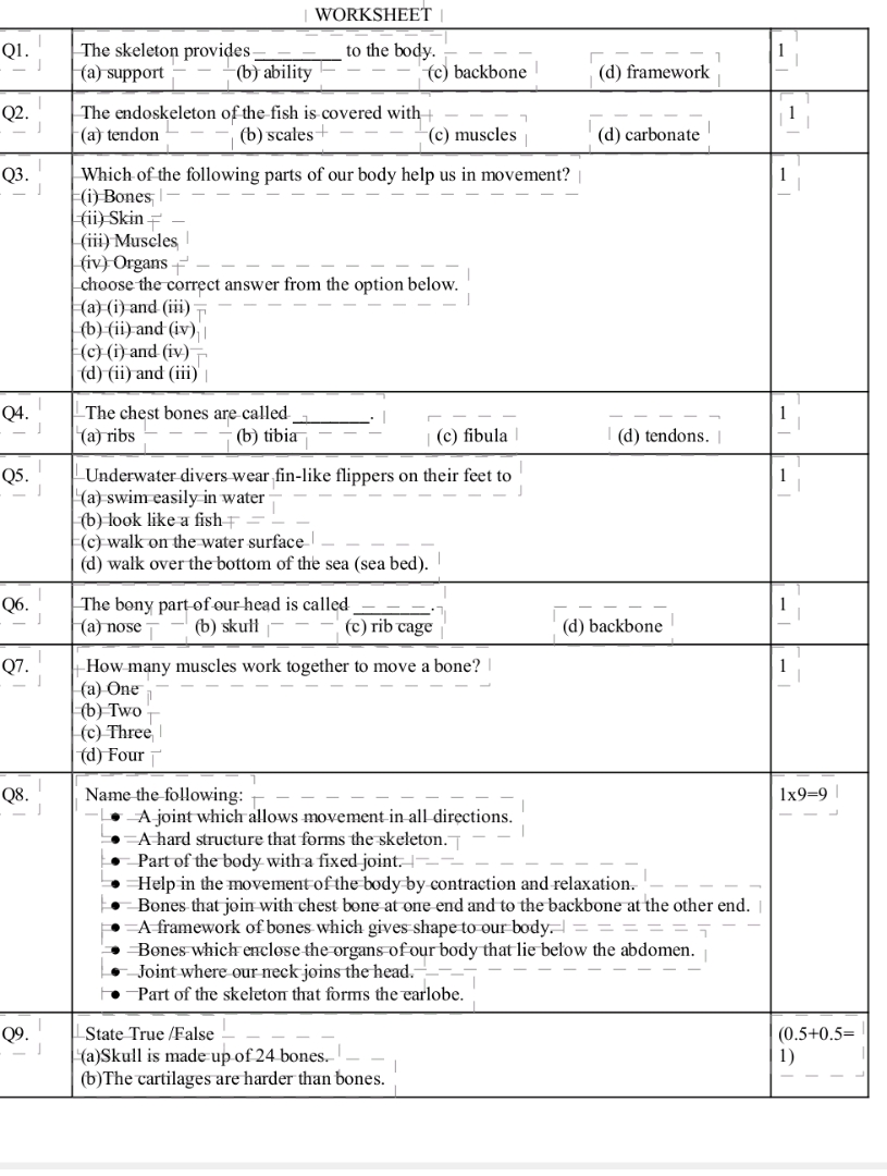 Skeleton Key Question WORKSHEET Q1 The skeleton provides to the | StudyX