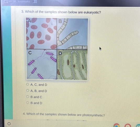 3 Which of the samples shown below are