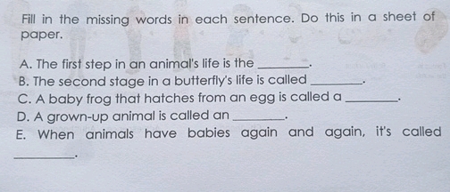 Fill in the missing words in each sentence | StudyX