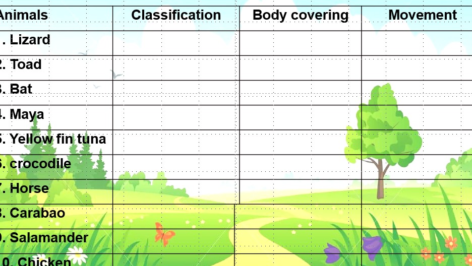 Animals Classification Body covering | StudyX