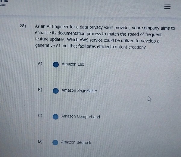 28) As an AI Engineer for a data privacy