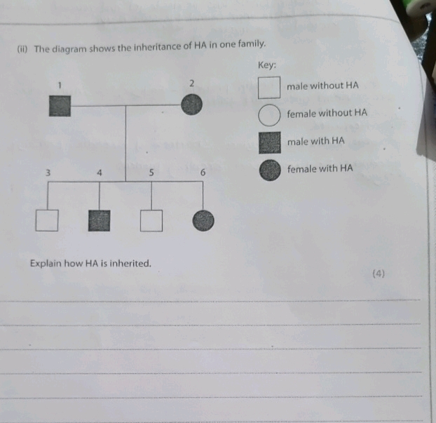(ii) The diagram shows the inheritance of HA | StudyX