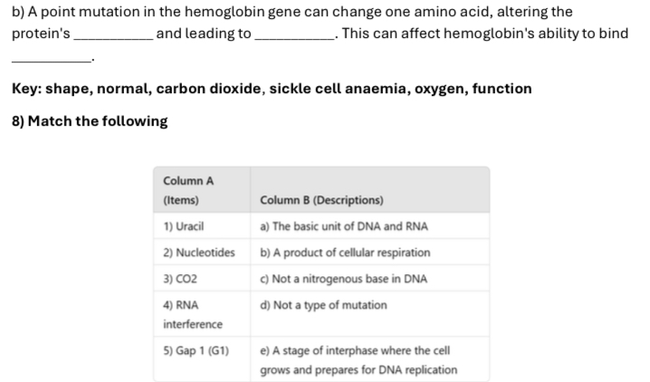 b) A point mutation in the hemoglobin gene | StudyX