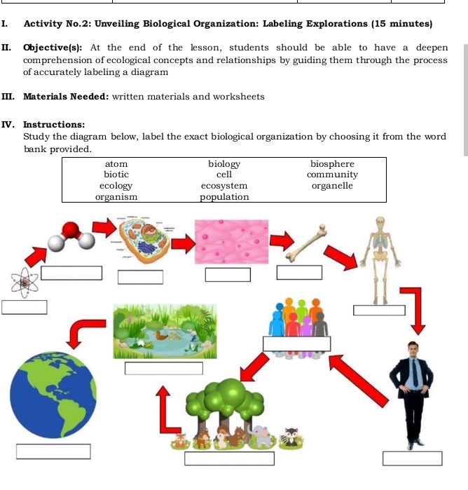 I Activity No2 Unveiling Biological | StudyX