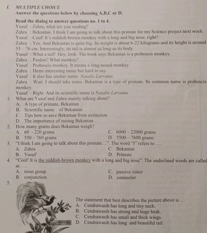 1 MULTIPLE CHOICE Answer the questions below | StudyX