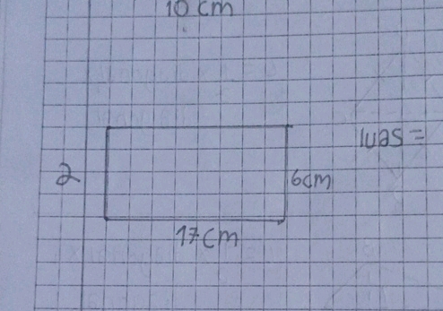Calculate the area of the rectangle with